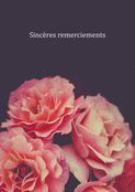 &Eacute;clats de fleurs pour votre soutien sinc&egrave;re